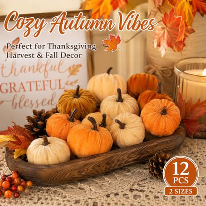 Mini Velvet Artificial Pumpkins Set for Fall Decor - 12 Pcs, 2 Sizes, Harvest Halloween Thanksgiving