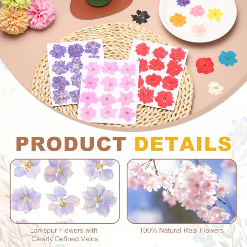 Pressed Dried Flowers for Crafts - Light Purple, 24 Pieces
