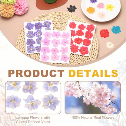 Pressed Dried Flowers for Crafts - Light Purple, 24 Pieces