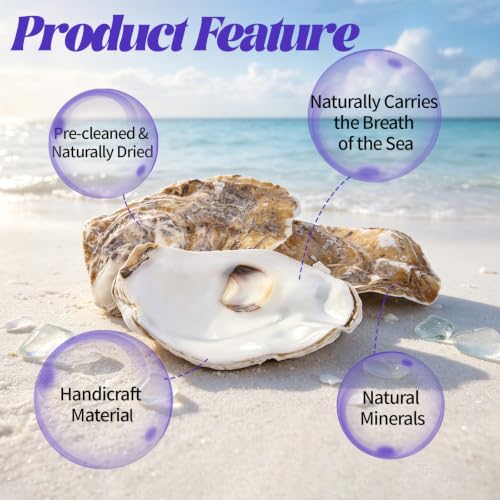 Natural Flat Oyster Shells 4-6 Inches for Crafts and Decor - Set of 20