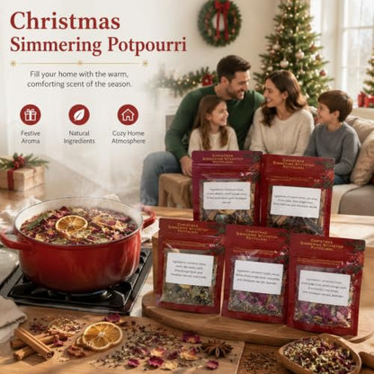 Simmer Pot Mix Set of 6 Holiday Scents - Seasonal Potpourri for Christmas & Winter