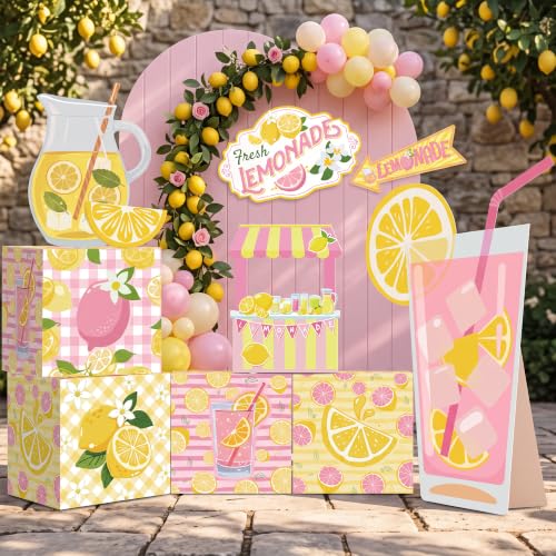 Pink Lemonade Party Decorations Set with Photo Props and Standee
