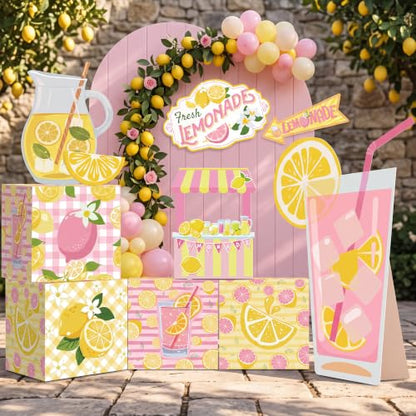 Pink Lemonade Party Decorations Set with Photo Props and Standee