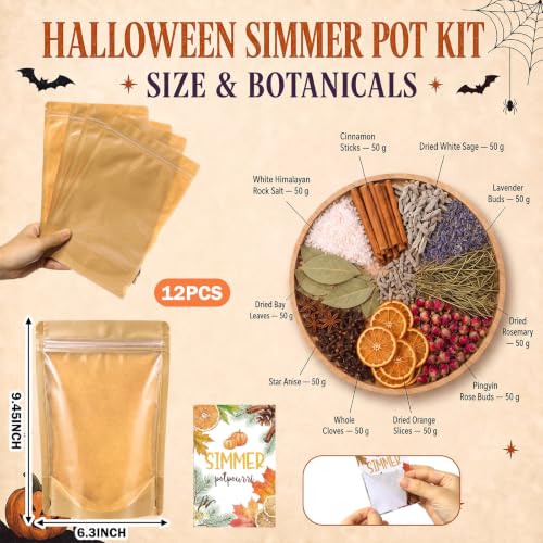 Fall Simmer Pot Mix with Dried Fruits and Herbs - Natural Aromatherapy Gift Set