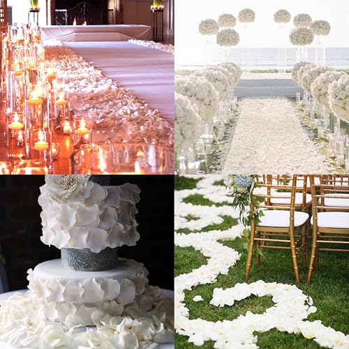 White Dried Rose Petals for Weddings - Biodegradable & Natural - 4 Pack (100g each) - Romantic Table Decor & Flower Girl