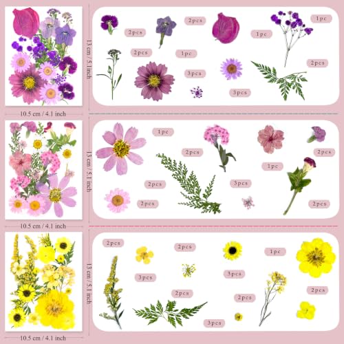 176Pcs Dried Flowers and Leaves for Resin Crafts - Pressed Natural Botanicals