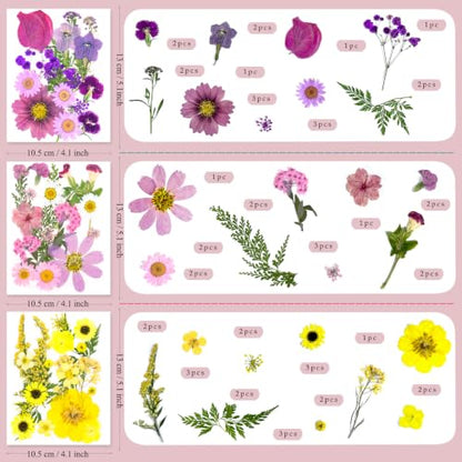 176Pcs Dried Flowers and Leaves for Resin Crafts - Pressed Natural Botanicals