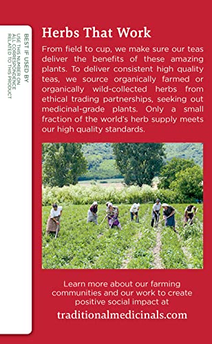 Traditional Medicinals Organic Throat Coat Herbal Wrapped Tea Bags - 16 ct