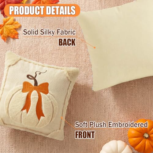 Beige & Dark Rust Fall Pumpkin Throw Pillow Covers 18x18 Set of 2