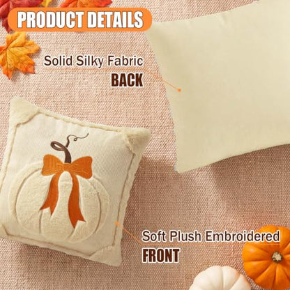 Beige & Dark Rust Fall Pumpkin Throw Pillow Covers 18x18 Set of 2