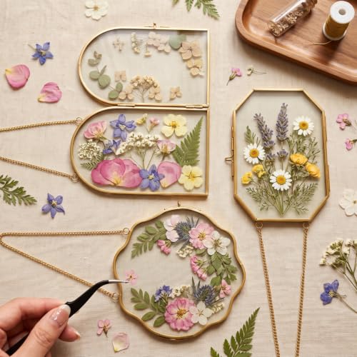 Pressed Flower Glass Frame Set 5Pcs - Scalloped Gold Wall Hanging Frames
