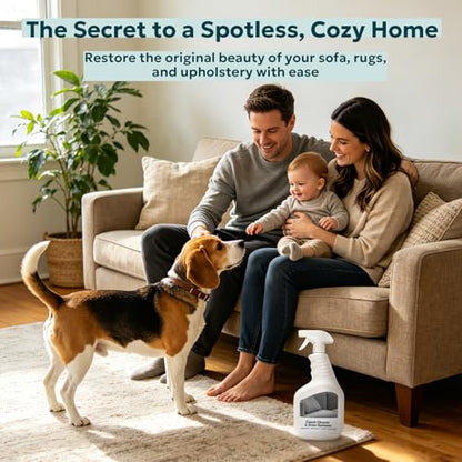 Multi-Surface Upholstery Cleaner Spray - 30 Fl Oz Pet Safe Stain Remover