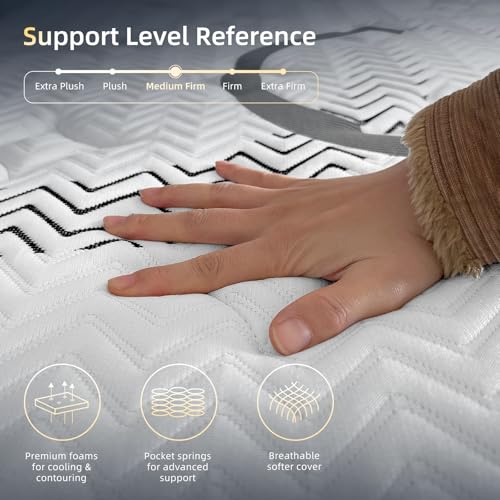 Queen Mattress 12 Inch Hybrid Queen Size in a Box Medium Firm New Version with Memory Foam & Pocket Springs - Pressure Relief & Motion Isolation