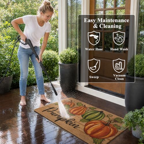 Hello Pumpkin Fall Door Mat - Orange 17x30 Low Profile Welcome Rug