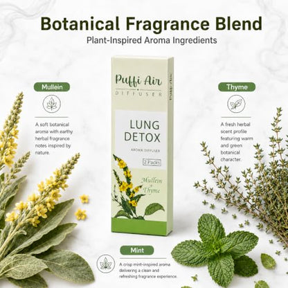 Herbal Mullein Aromatherapy Sticks - Portable Green Scent Air Freshener, 10pcs