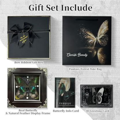 Green Banded Queen Butterfly Handmade Specimen with Natural Feathers Gift Set