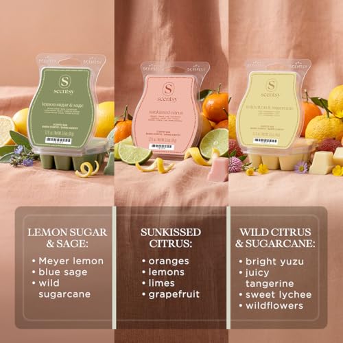 Sunlit Citrus Wax Melts Set - 3 Varieties for Home Fragrance
