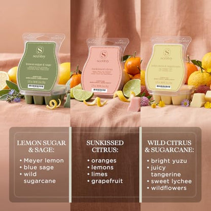 Sunlit Citrus Wax Melts Set - 3 Varieties for Home Fragrance