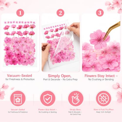 Edible Dried Flower Garnishes for Cakes Drinks & Crafts - 60 Pcs