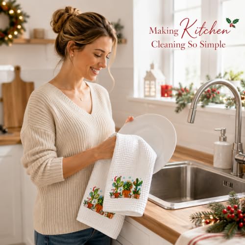 Winter Christmas Cactus Kitchen Towels 16x24 Inch - Sd-4