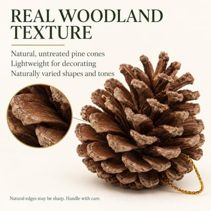 Brown Natural Pine Cones for Crafts and Holiday Decorations - 30Pcs