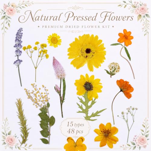 Fall Dried Pressed Flowers for Crafts - Harvest Variation, 15 Types