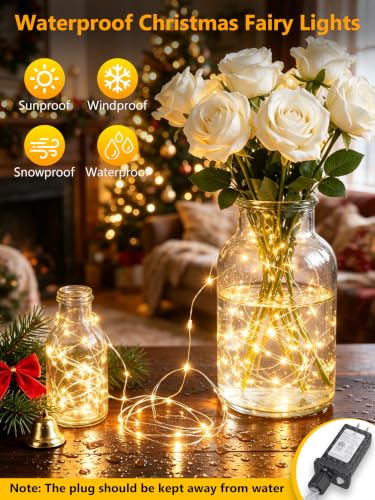 FairyGlim Silver Wire 100FT 300LED Christmas String Lights Indoor Outdoor