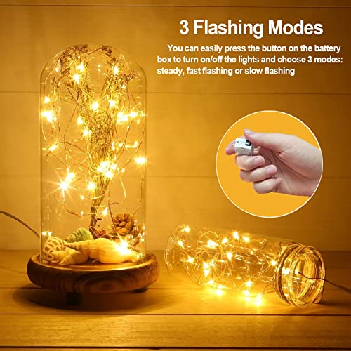 24 Pack Battery Operated Fairy Lights 3 Modes 7ft Warm White & Cool White