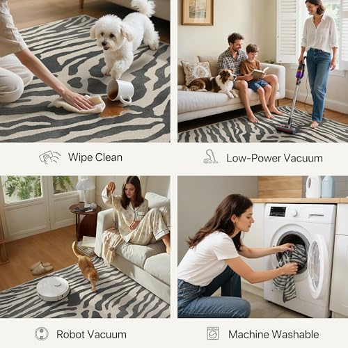 Indoor Zebra Rug 2x3 Small Entryway Door Mat - Grey & Beige Washable