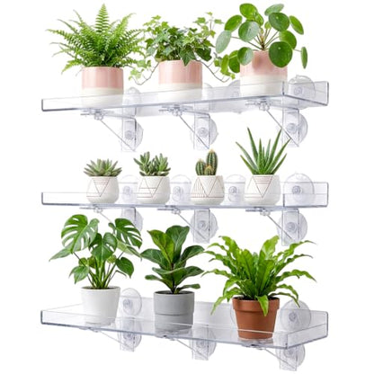 3 Pack Acrylic Window Plant Shelves with Suction Cups - Heavy Duty Indoor Garden Racks
