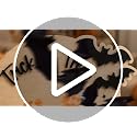 Trick or Treat Wooden Halloween Sign with Stand - Baby First Halloween Decor