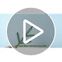 5ft Artificial Christmas Tree with 937 Tips, Unlit, Easy Assembly, Green