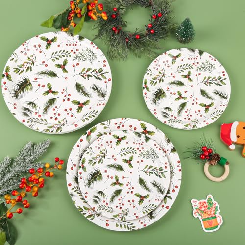 Christmas Paper Plates Holly Berries Disposable Party Plates Set of 48