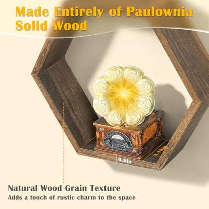 Hexagon Floating Shelves Set of 5 Honeycomb Wall Display Shelves Modern Rustic Decor