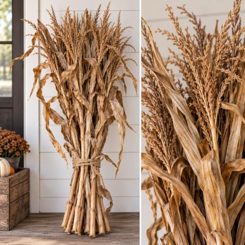 Natural Dried Corn Stalks Bundle - 3 Ft for Fall Decor & Harvest Displays