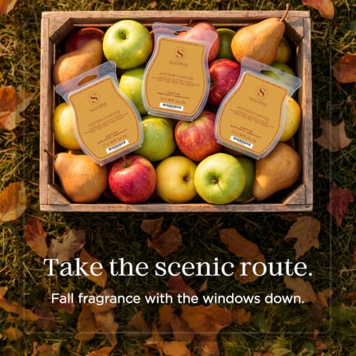 Autumn Road Trip Scented Wax Melts Set - 3 Bar Fall Fragrance
