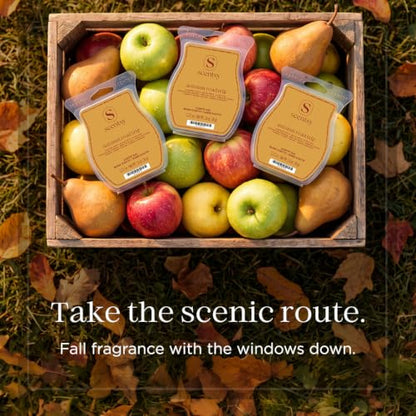 Autumn Road Trip Scented Wax Melts Set - 3 Bar Fall Fragrance