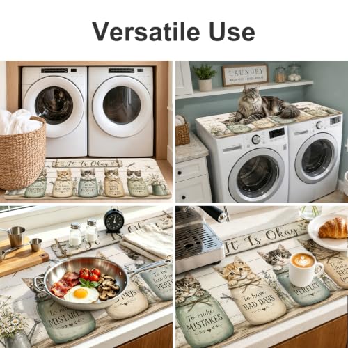 Laundry Room Rug - Cats & Rustic Jars Design, 47 x 20 Polyester, Variation HC-HD26466