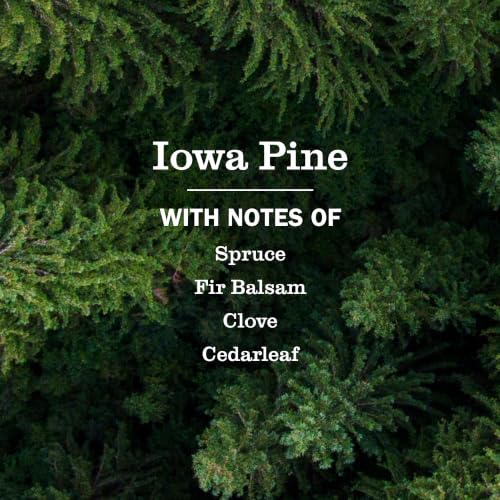 Mrs. Meyer’s Clean Day Scented Oil Plug-In Diffuser Refills, Iowa Pine, 2.67 Fl Oz - Garden-Inspired Air Freshener