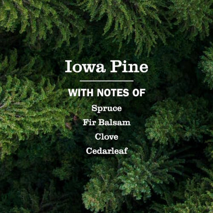 Mrs. Meyer’s Clean Day Scented Oil Plug-In Diffuser Refills, Iowa Pine, 2.67 Fl Oz - Garden-Inspired Air Freshener