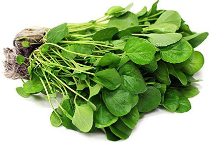 Watercress Herb - Dried Nasturtium officinale C/S 100% from Nature (4 oz)