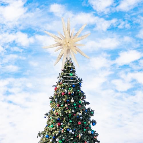 Natural Starfish Christmas Tree Topper 10 Inch Coastal Nautical Decor