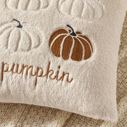 Fall Pumpkin Pillow Covers 18x18 Beige Set of 2 - Harvest Decor