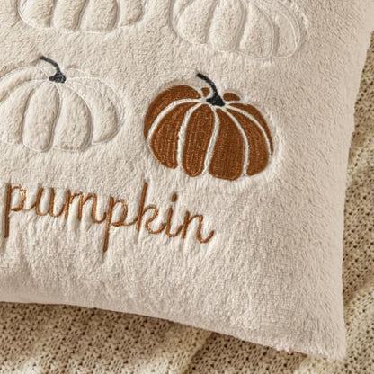 Fall Pumpkin Pillow Covers 18x18 Beige Set of 2 - Harvest Decor