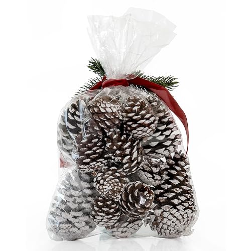 ANDALUCA Frosted Pinecone Vase Fillers - Scented Holiday Decor, 1 Bag