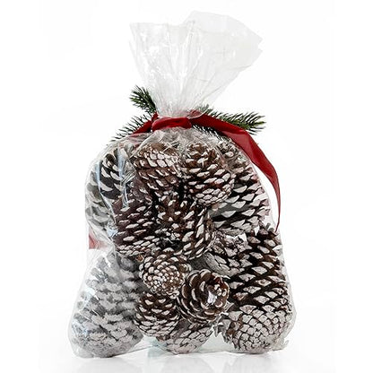 ANDALUCA Frosted Pinecone Vase Fillers - Scented Holiday Decor, 1 Bag