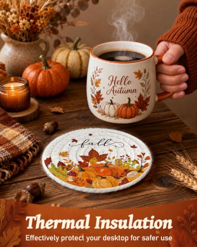 Autumn Pumpkin & Cat Coasters Set of 4 with Holder - Fall Decor