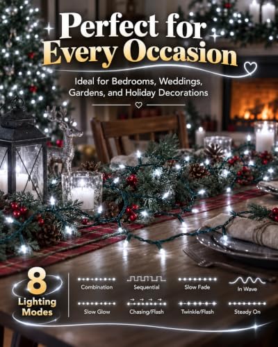 Cool White Battery Operated Fairy Lights 98FT 300LED 2-Pack - Outdoor Indoor Decor