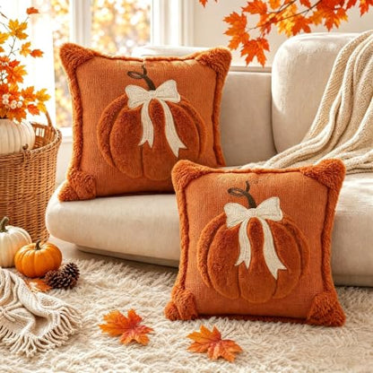 18x18 Inch Fall Pumpkin Pillow Covers Set of 2 - Autumn Thanksgiving Decor