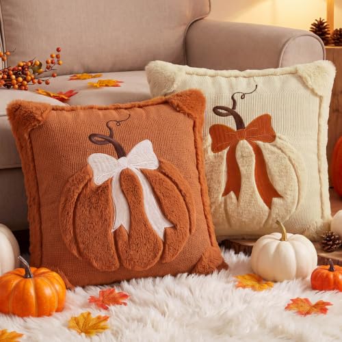 Beige & Dark Rust Fall Pumpkin Throw Pillow Covers 18x18 Set of 2